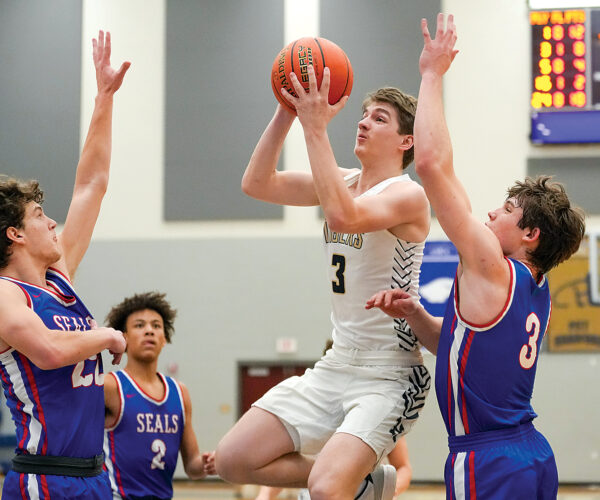 Senior-laden Tigers come up just short